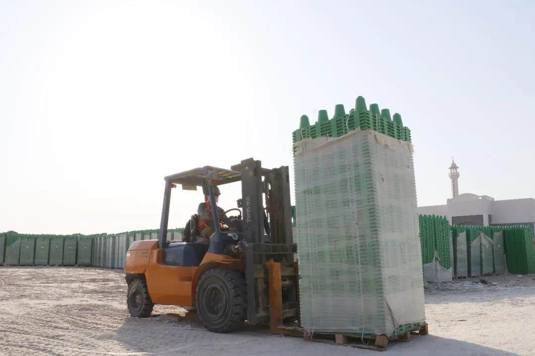 Container Loading and Factory Direct Supply